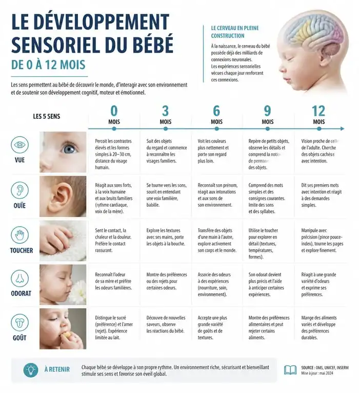 Infographie des étapes du développement sensoriel de bébé de 0 à 12 mois