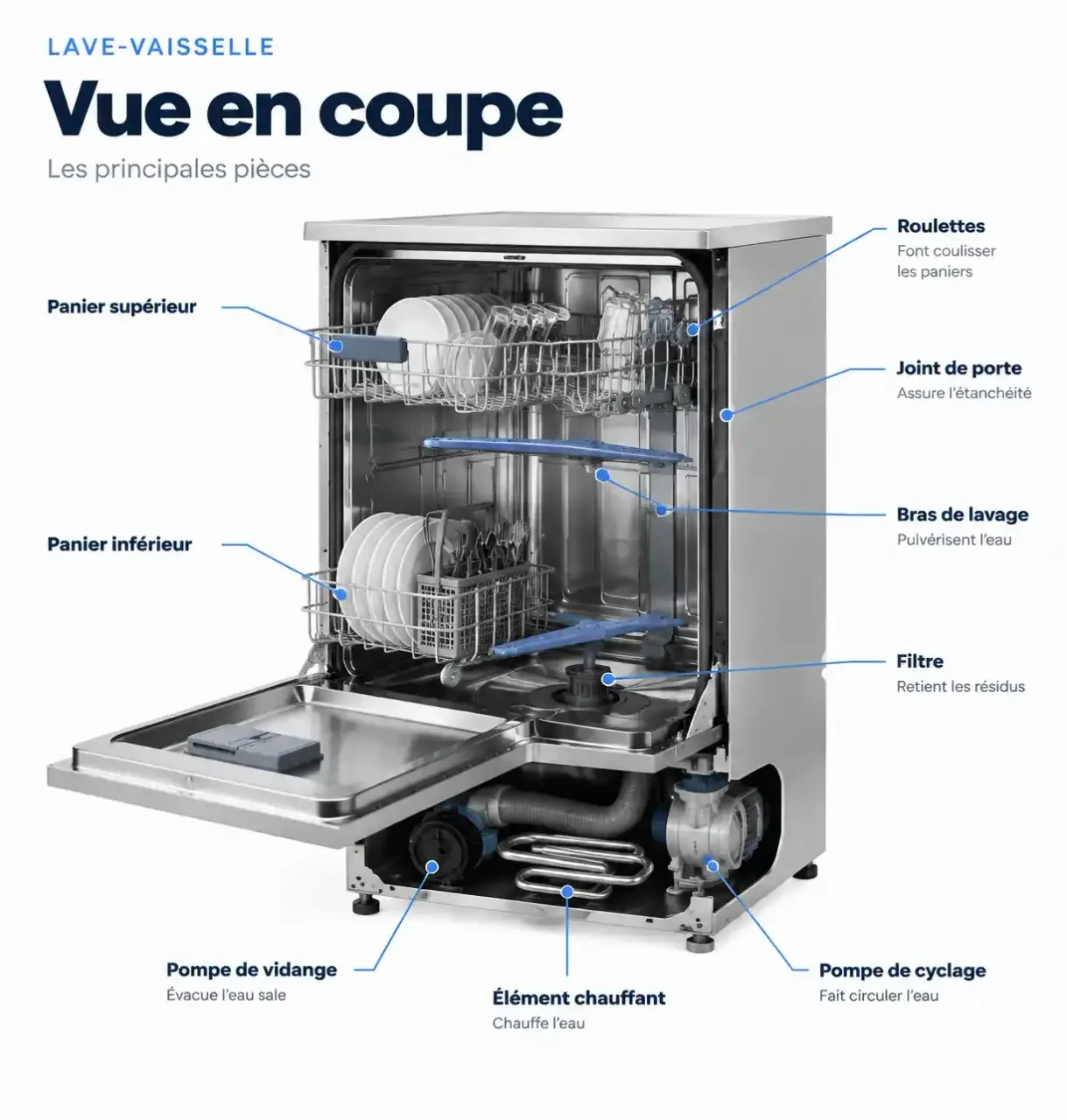 Schéma de localisation des principales pièces de lave-vaisselle : pompe, joint, bras de lavage, filtre et roulettes